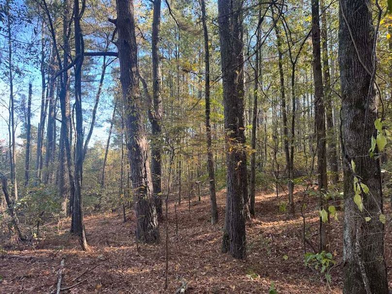 Jeff 11720251111_0217