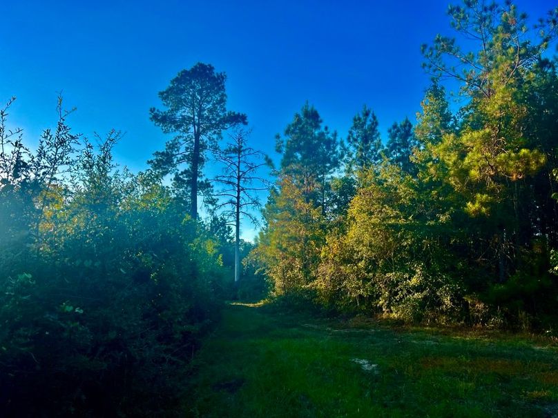 9415775F-10F1-4FCE-BB46-978A37D376C0_1_201_a