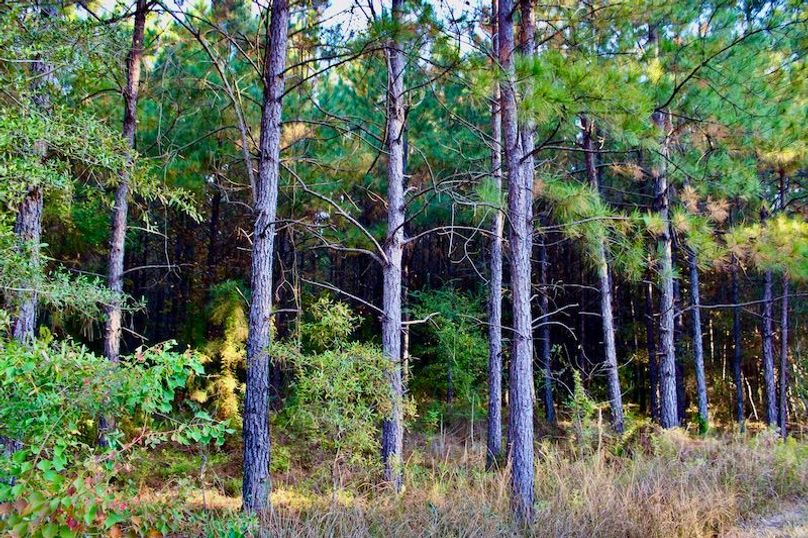 E8D828CA-C855-4058-9B4E-3EB7B0E9F2F6_1_201_a