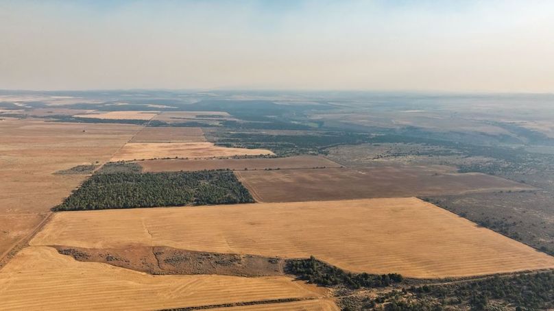 DJI_0520_1