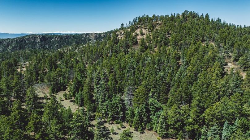 DJI_20240517125231_0074_D