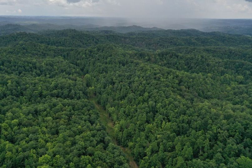 012 forest stretches forever...look at that rain storm in the background