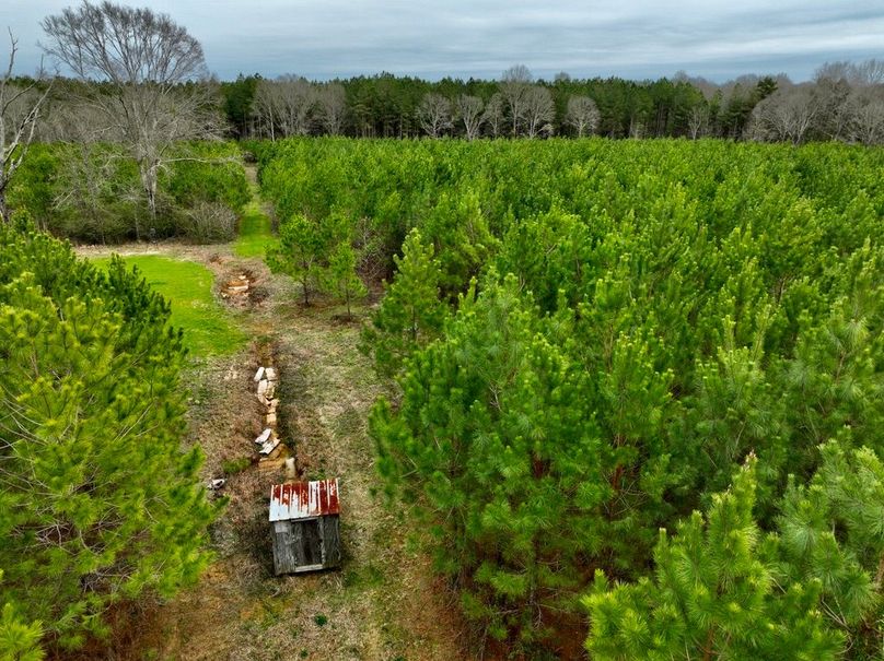 12464E80-76A8-4685-95F8-F824296EDBCB_1_105_c