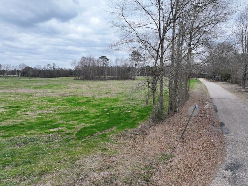 Copy of dji_fly_20260217_144146_0168_1771436898689_photo