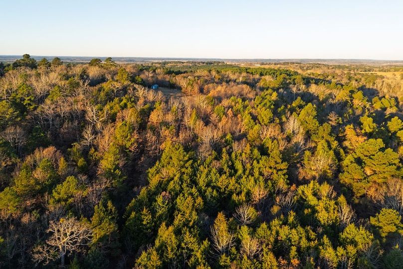 DJI_20260116075502_0023_D