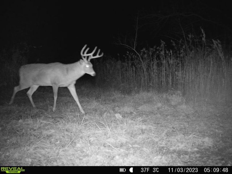 860322065128164-1-2-11032023050948-V-W1004940