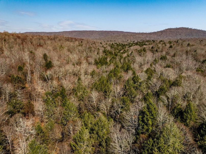 74-web-or-mls-IMG-74