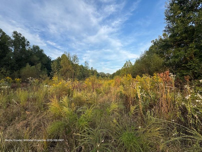 DeSoto 329 Prewett (Thompson) -22