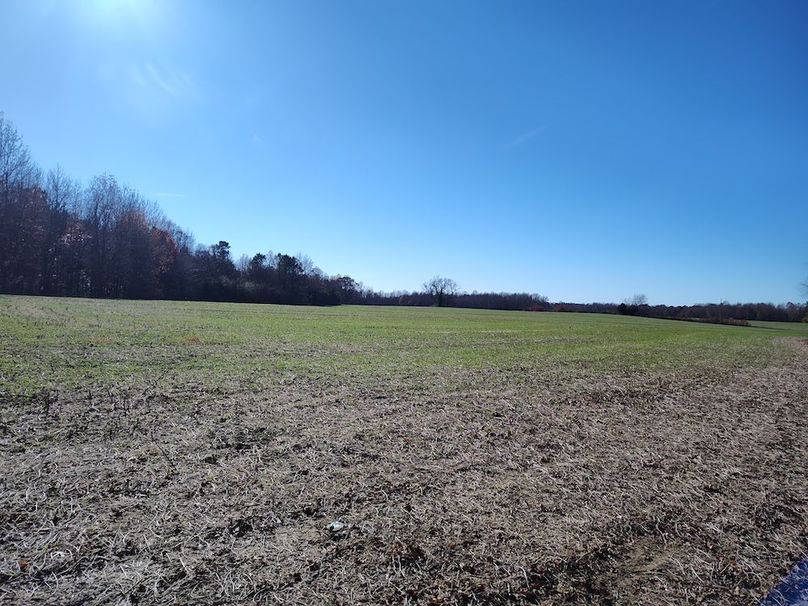 IMG_20251124_130158074