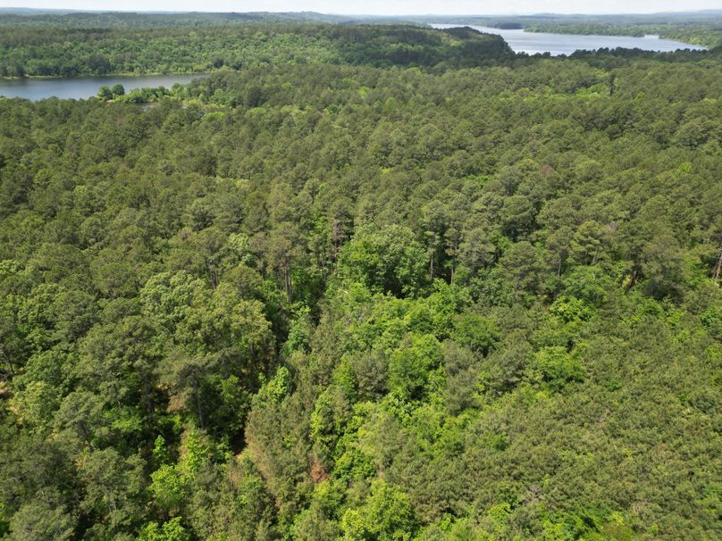 DJI_0009