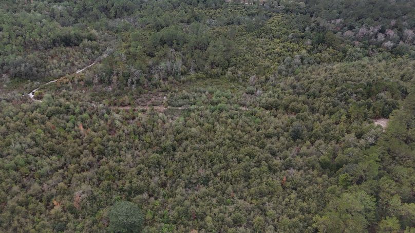 DJI_20231117115625_0022_D