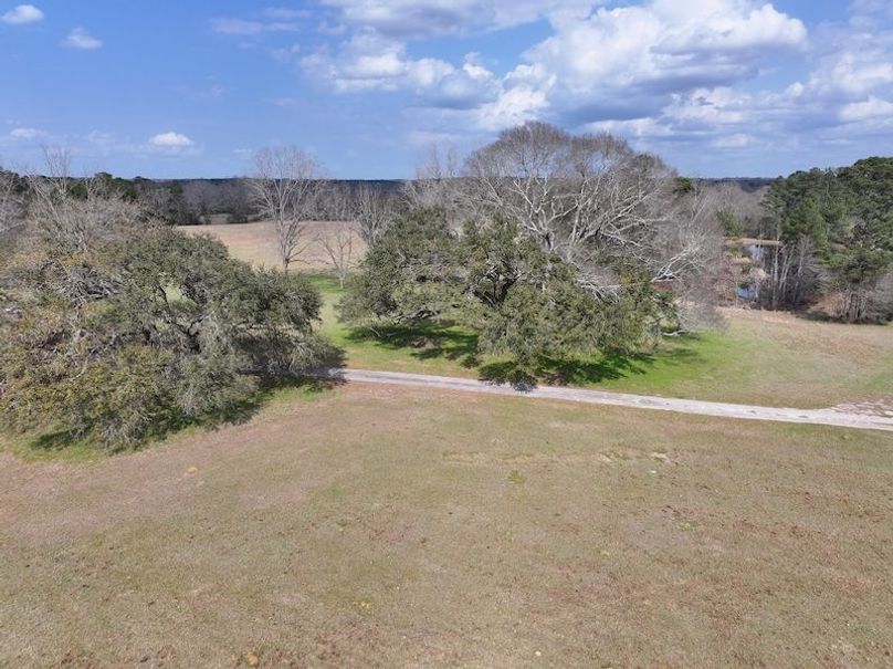 dji_fly_20260220_123532_0197_1771858380711_photo