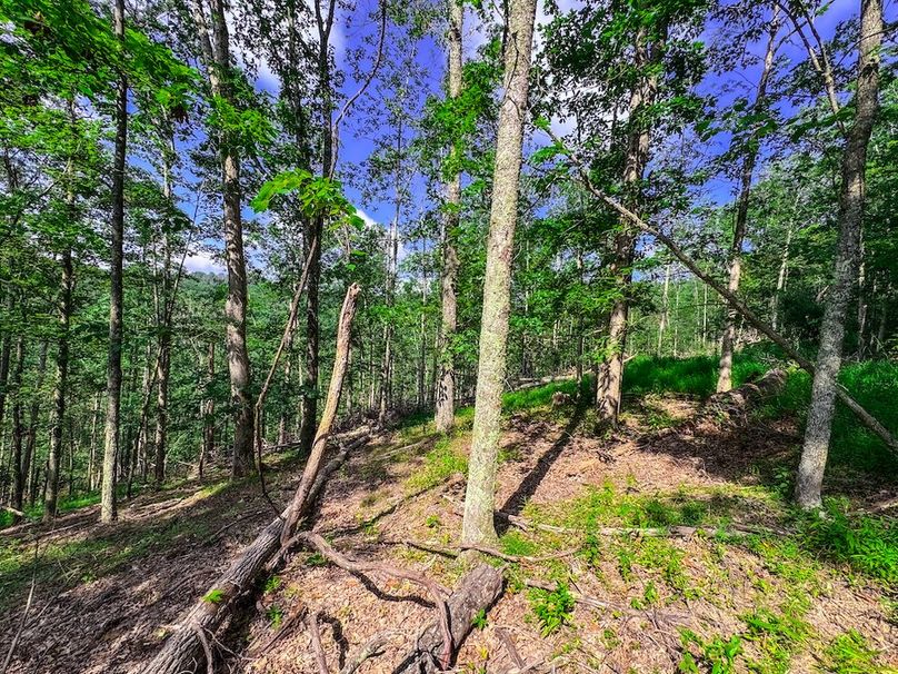 Lewis, WV 105 AC Miller-73