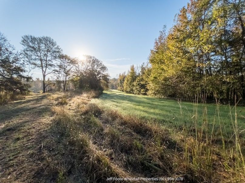 Claiborne Co-151-Geronimo-47