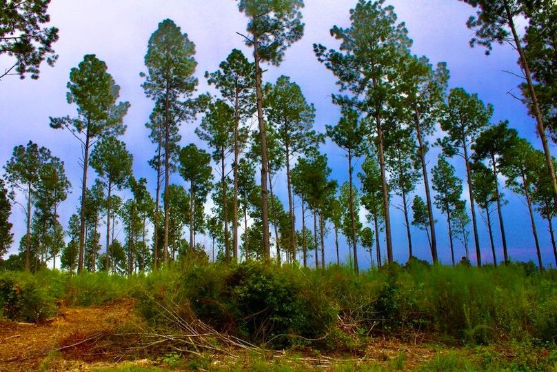 63C5EB5C-C398-4F2D-9AA8-3996EACE34B7_1_105_c