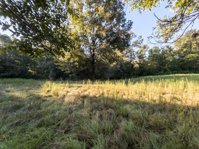 Hinds Co - 78 - Newman-43