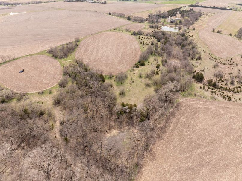 20240405-DJI_20240405120623_0051_D