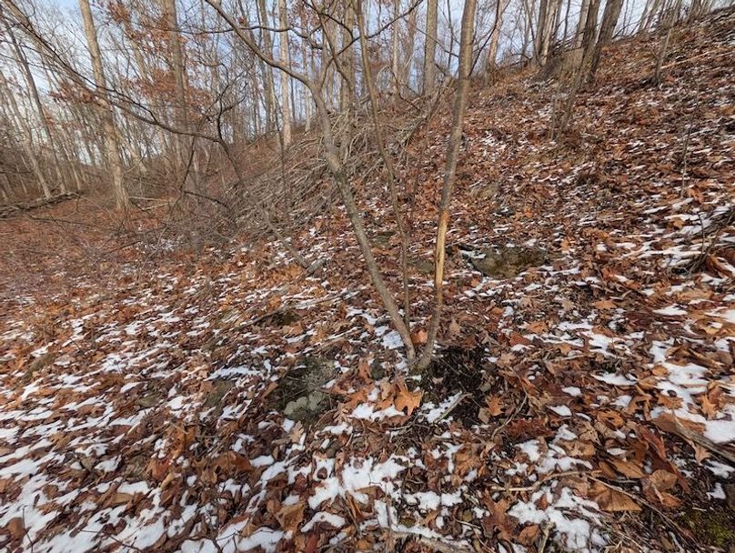 PXL_20260112_170648508.MP