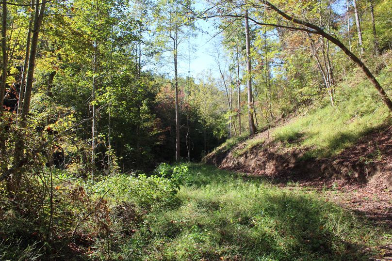 008 the final approach to the cabin site in the middle of the property