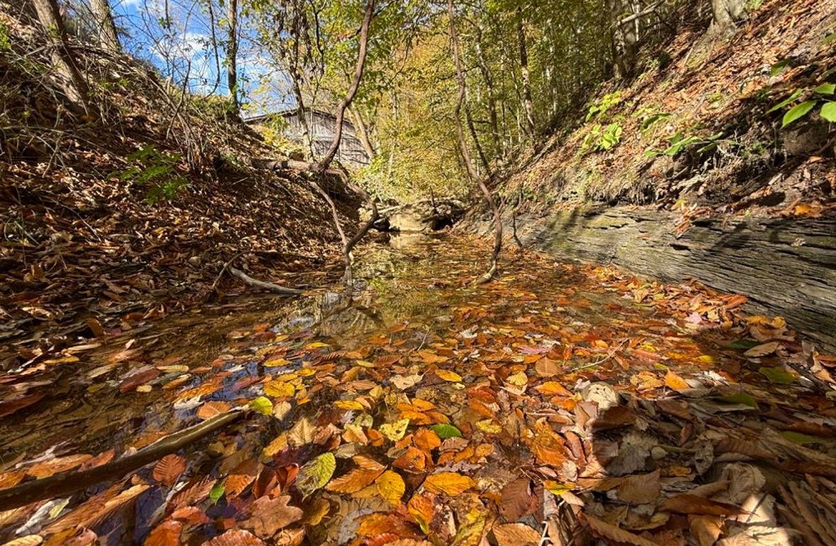 002 stream flowing past the barn and the building lot