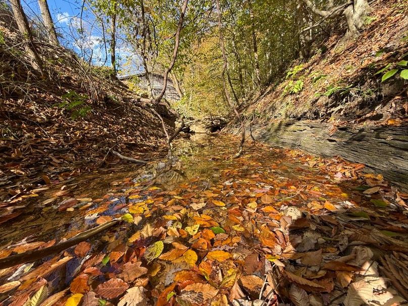 002 stream flowing past the barn and the building lot