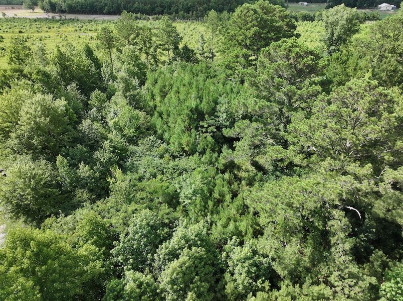 DJI_20240710101601_0002_D