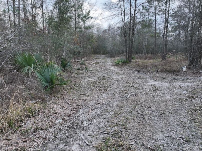 dji_fly_20260212_135904_0040_1771284251239_photo