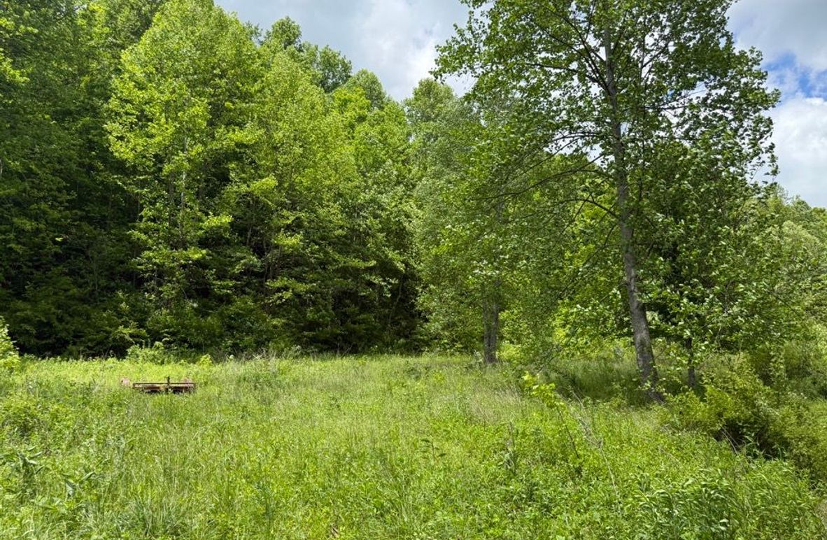 005 ground level view of the open field area near the entrance
