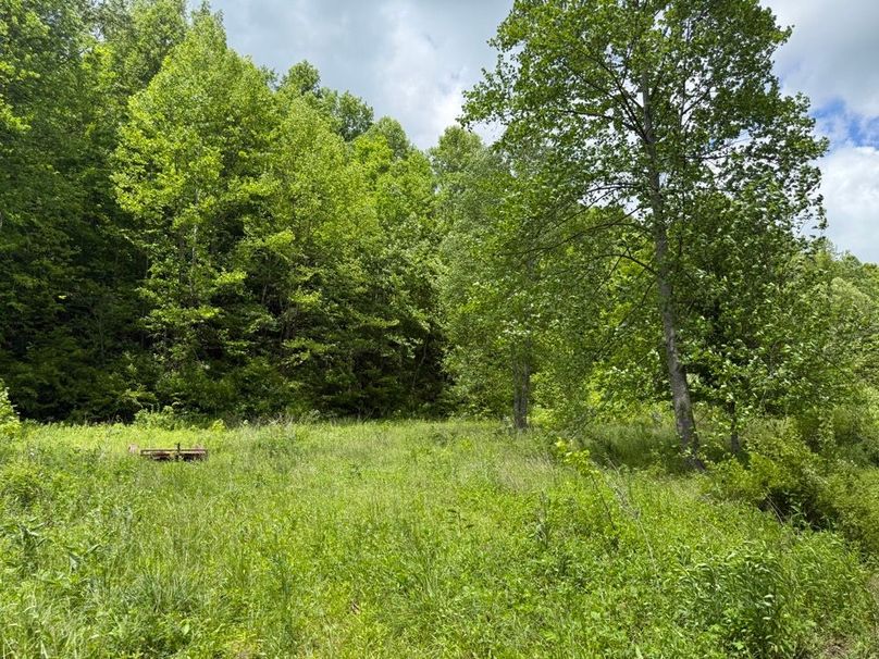 005 ground level view of the open field area near the entrance