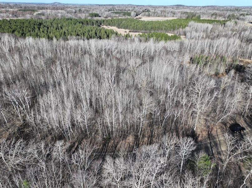dji_fly_20250416_090142_0499_1744833044429_photo
