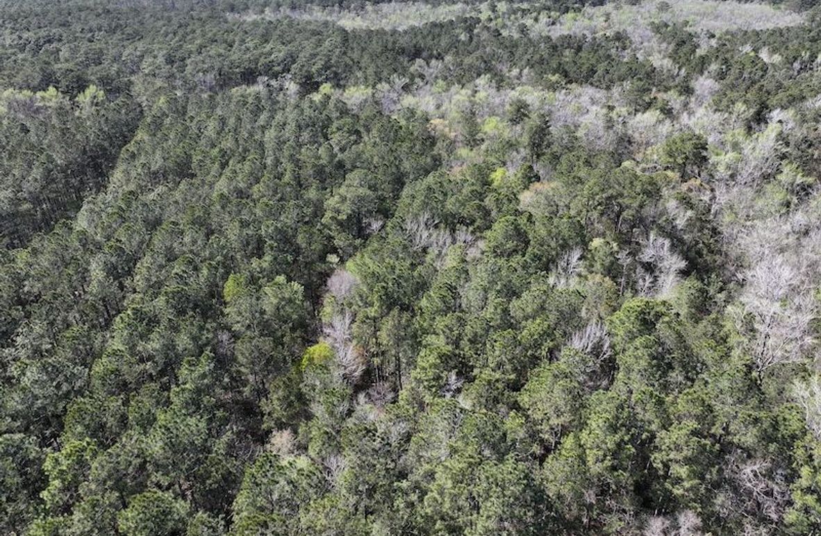 DJI_20260311122420_0510_D