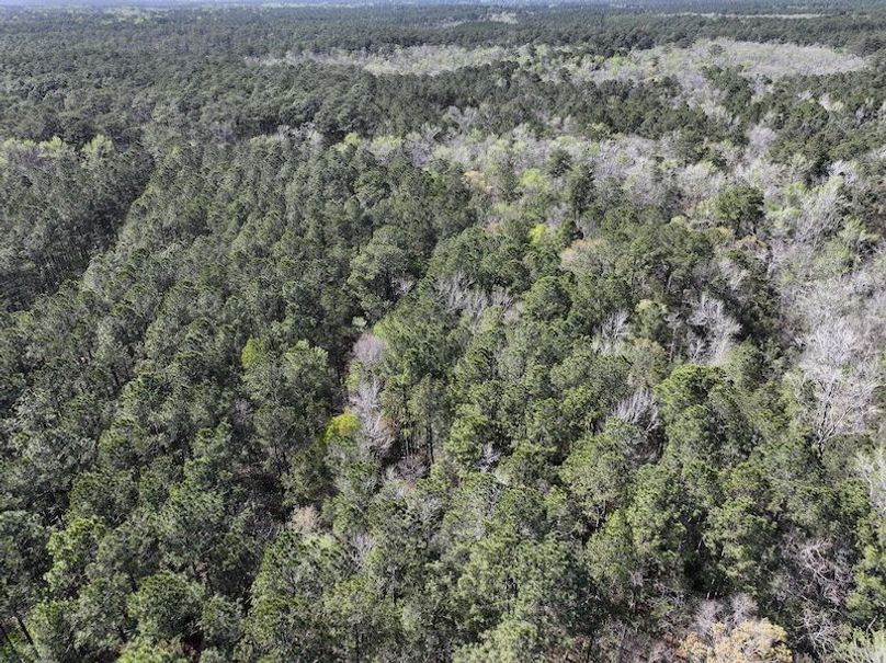 DJI_20260311122420_0510_D