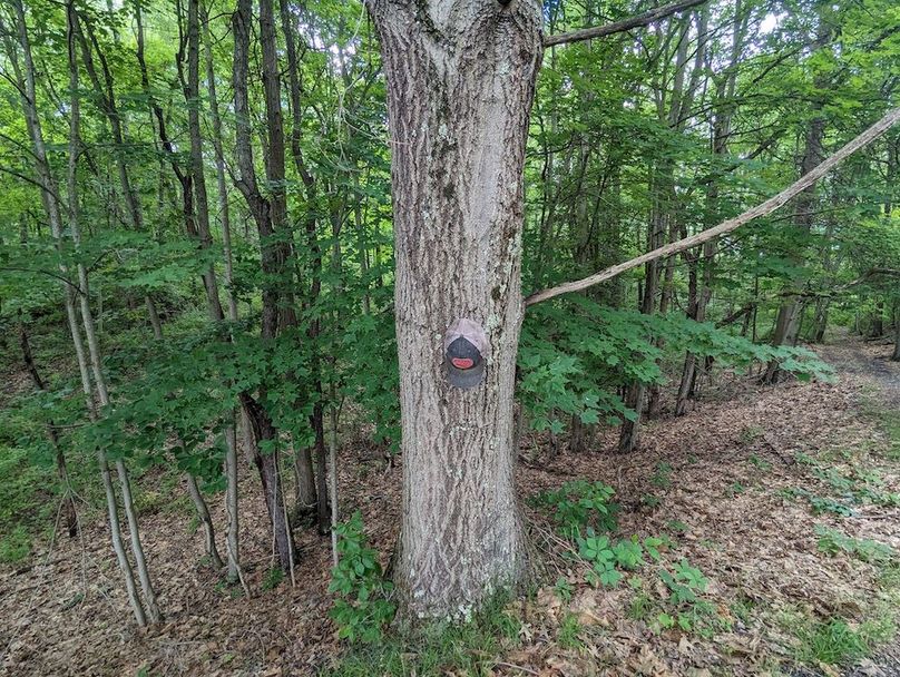 PXL_20240607_191745683