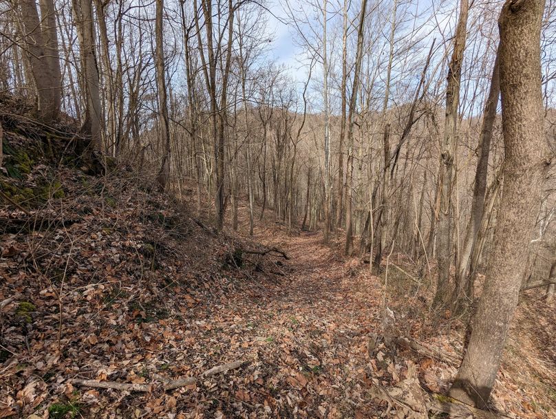 PXL_20230301_163518205