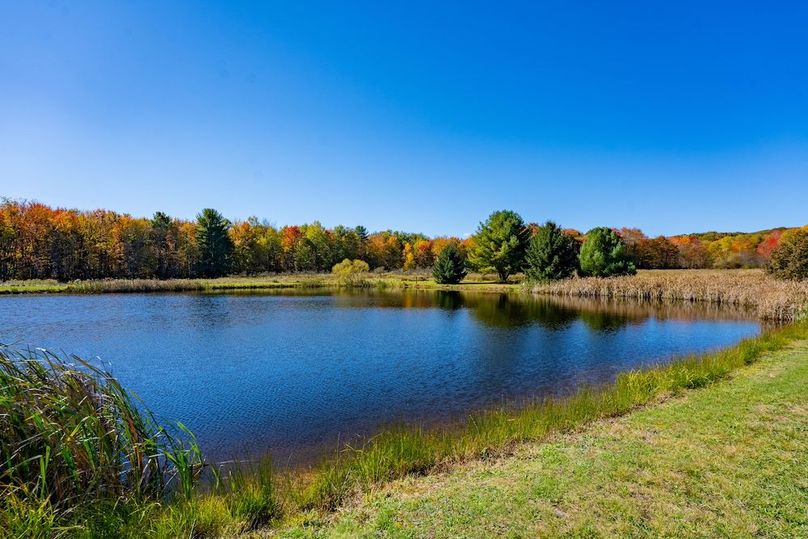 44868WarnerGROUND-24