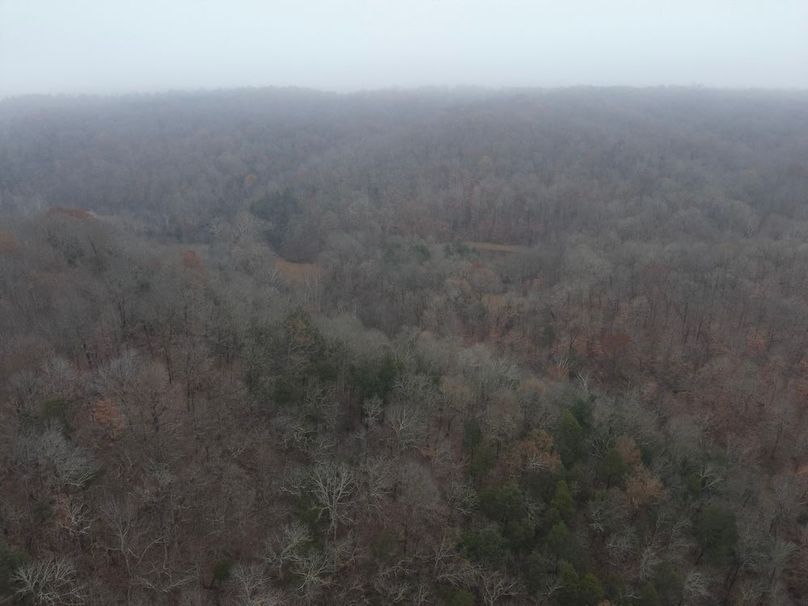 26-DJI_20251119121724_0002_W