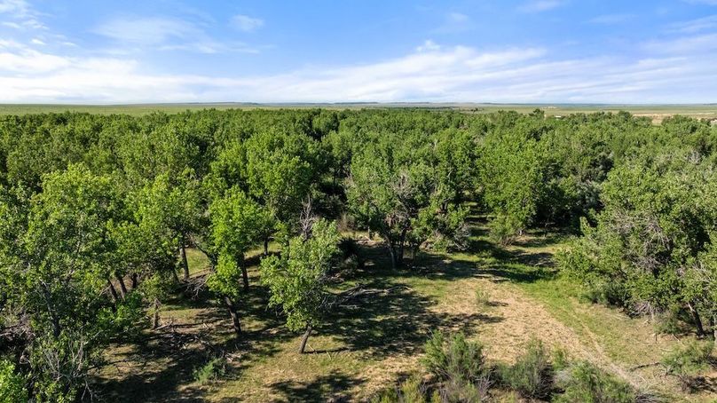 DJI_20250616100135_0043_D_1