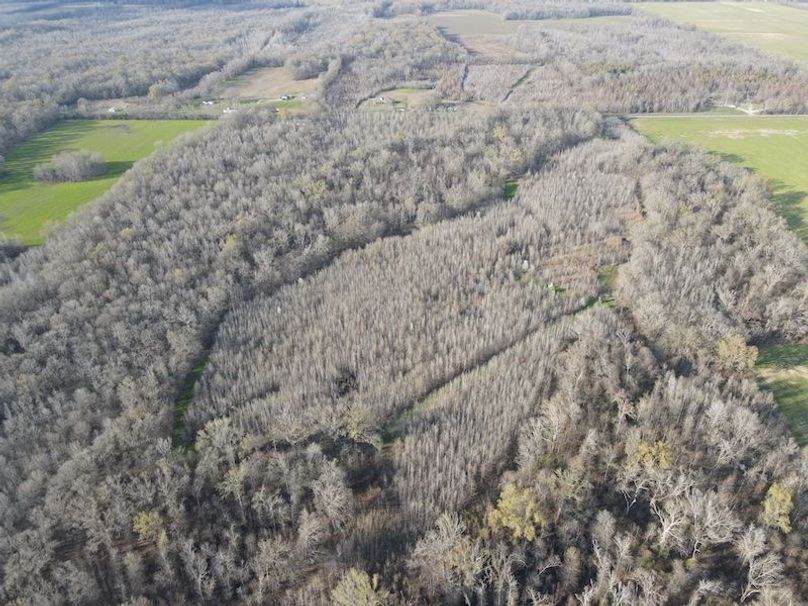 dji_fly_20240303_162550_109_1709504762994_photo copy