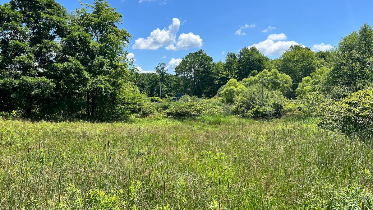 Great Large Recreational Property In NE Ohio Whitetail Properties