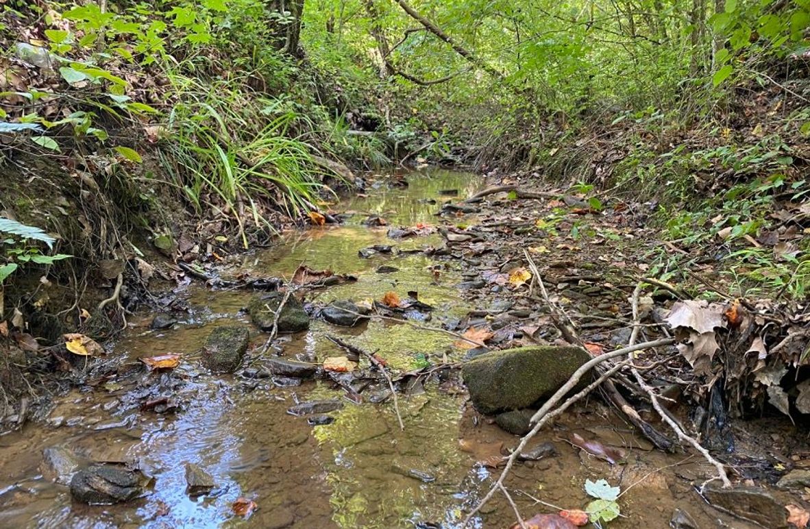 005 the blue line stream originating on the property