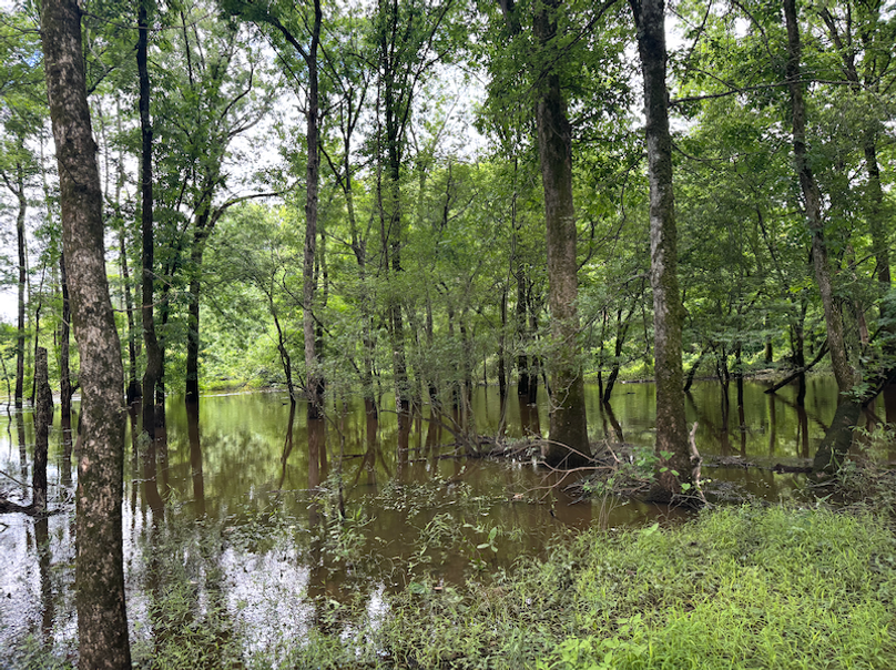 Screenshot 2025-10-03 at 11.18.57 AM