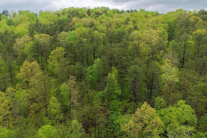 DJI_20260429154035_0203_D