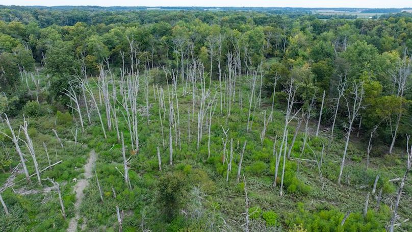 DJI_20250909194654_0028_D