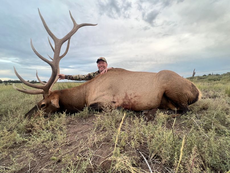 elk harvest 4