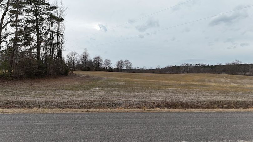 dji_fly_20260218_164252_0019_1771452059838_photo