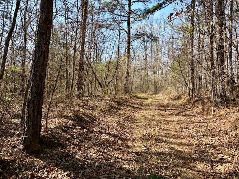 81CE6F72-C51B-4790-929A-1D1900F8432A_1_105_c