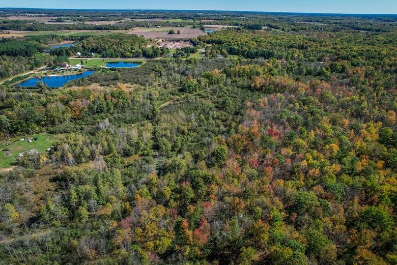 Wood 41.451, Collins -45