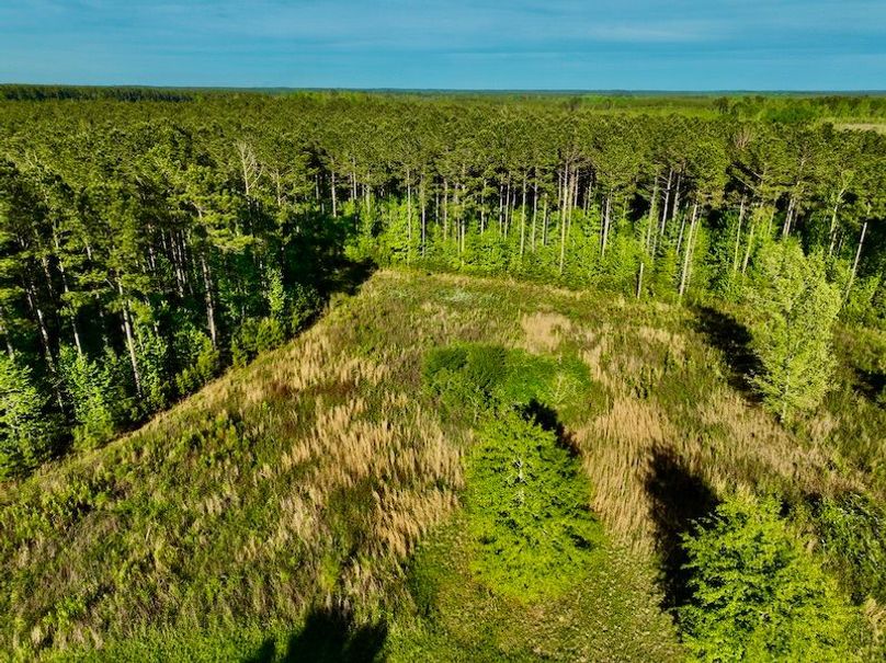 99C74FD1-AA8B-455C-926D-1260A591587C_1_201_a