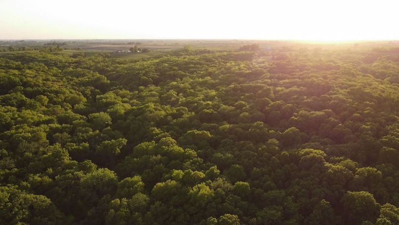 PAGE CO IA 130+_-_55