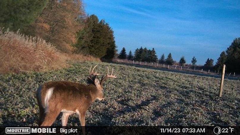 Temp_731813-20231114133447-20231114073332_005001